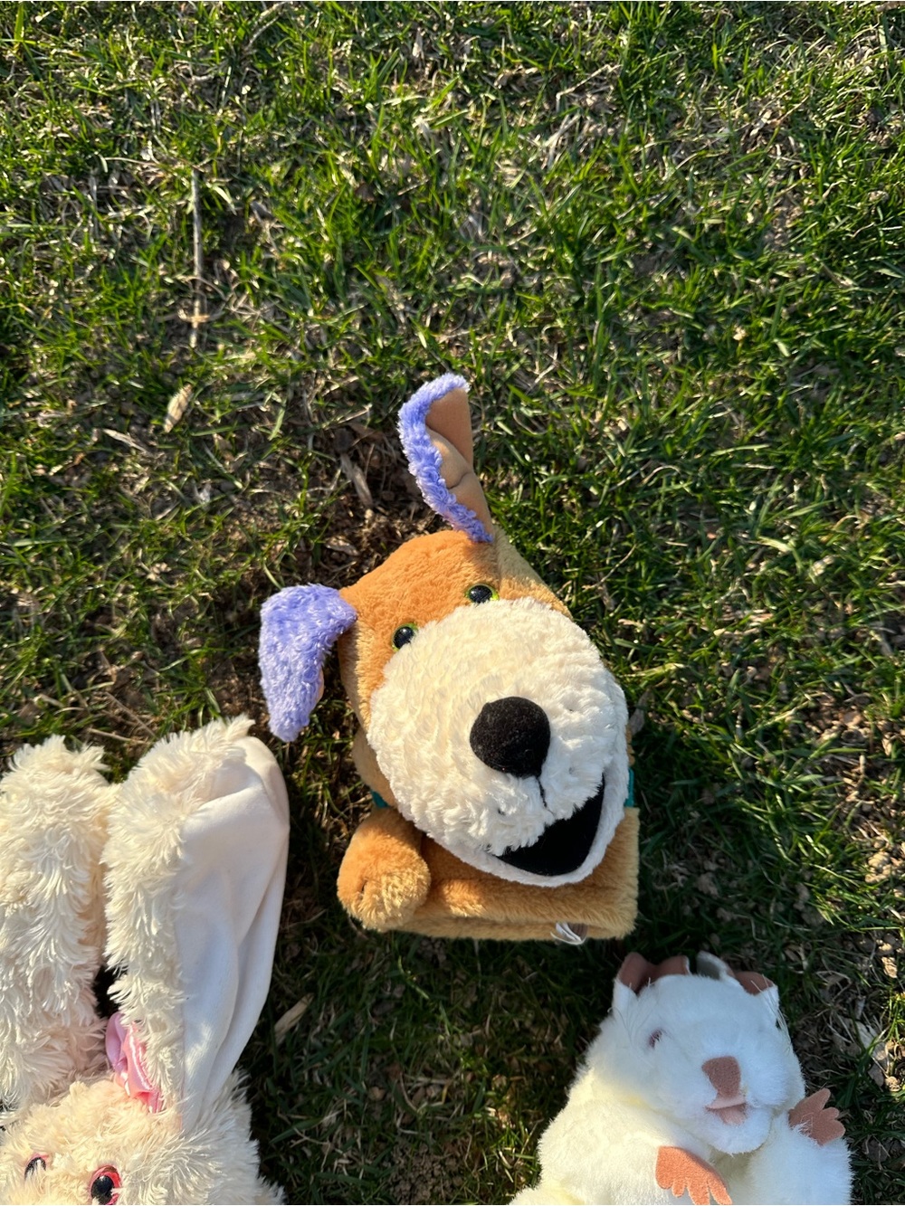 Puppet bundle - Picture 4 of 4